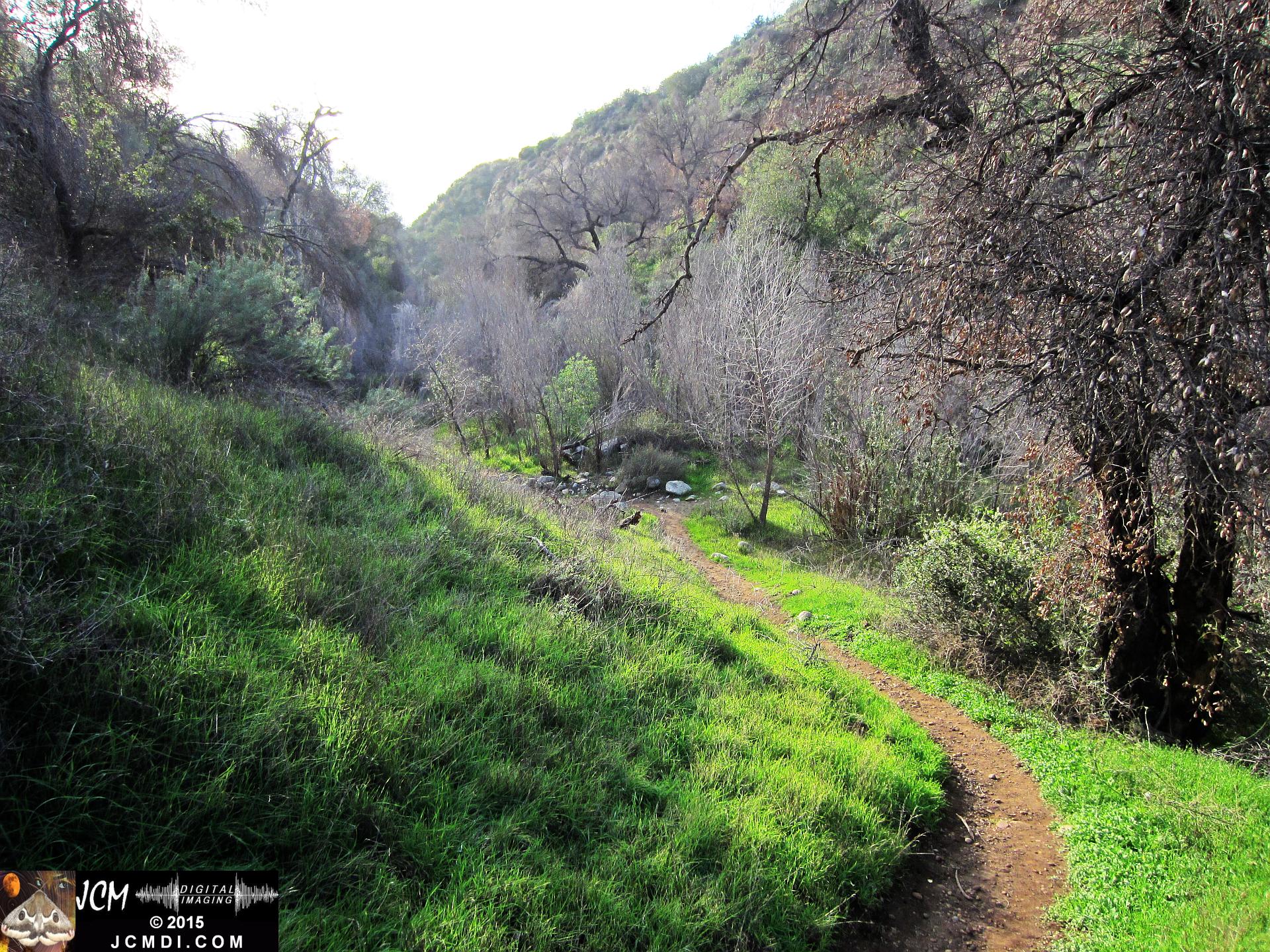 Whitney Canyon landscape and trail